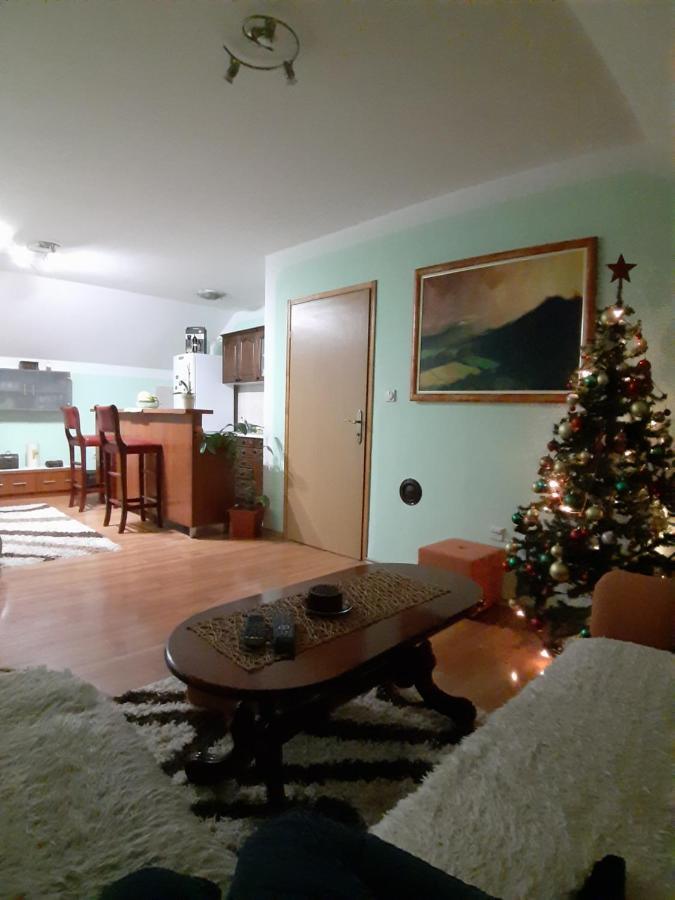 Apartman Sara Pale - Ski Centar Ravna Planina Exterior foto